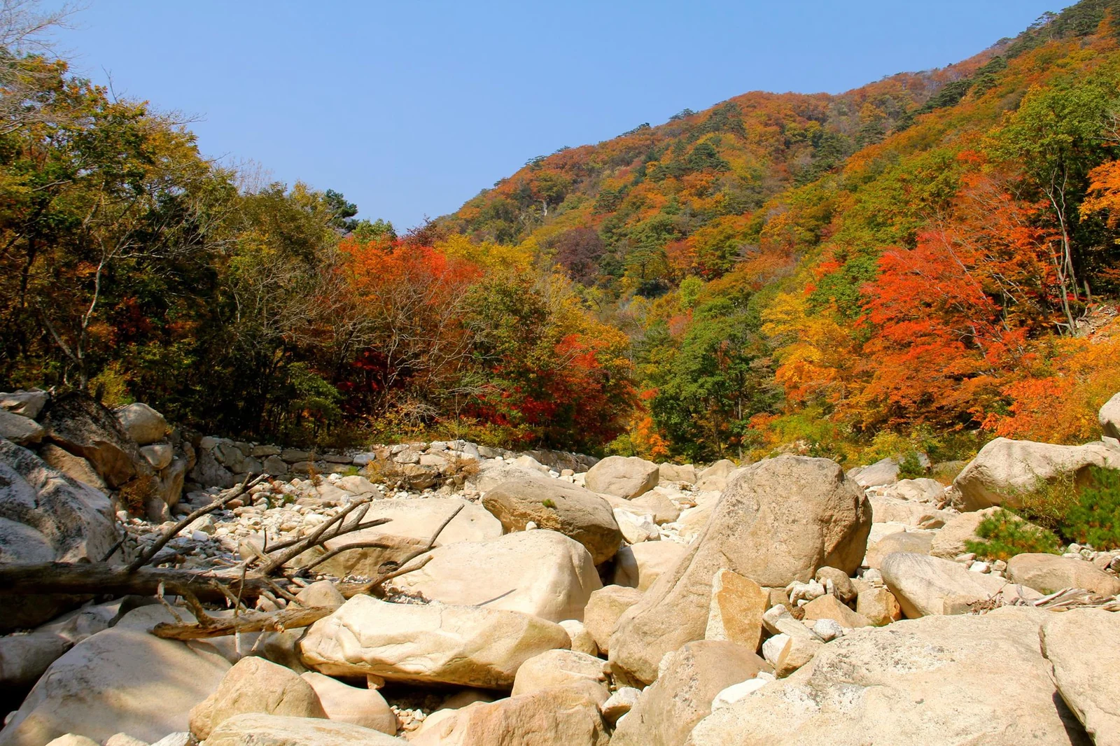 Autumn foliage on Seoraksan, South Korea.